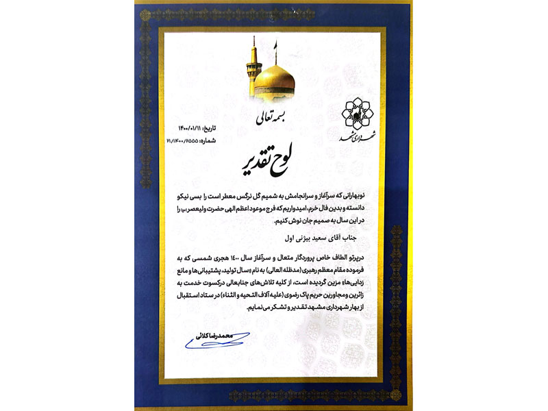 افتخارات کاری-دکتر سعید بیژنی اول